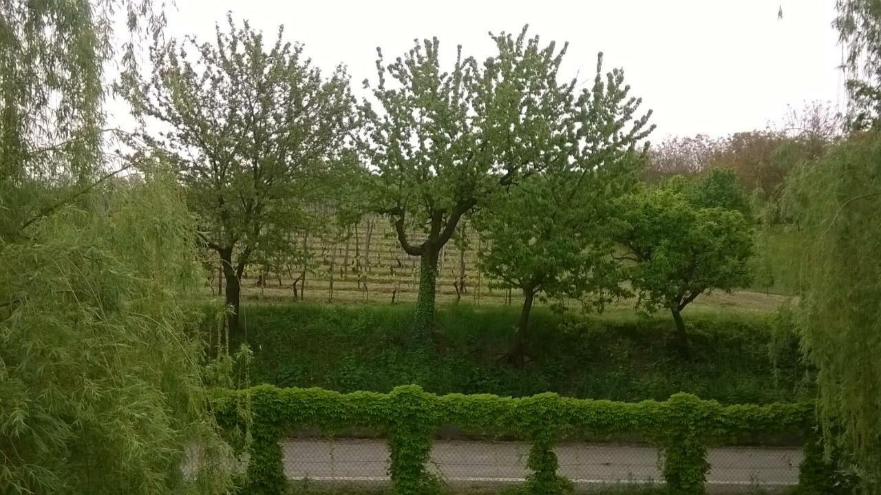 Agriturismo Cascina Barin Roddi Exteriör bild